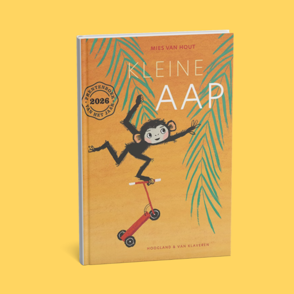 Creatieve lesideeën bij de boeken van Mies van Hout