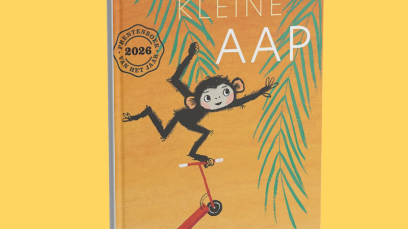 Creatieve lesideeën bij de boeken van Mies van Hout