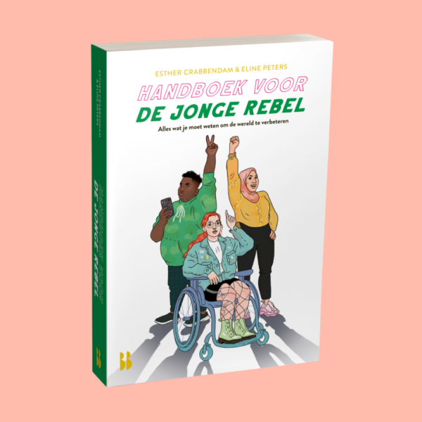 Laat je leerlingen een eigen actie opzetten met dit boek