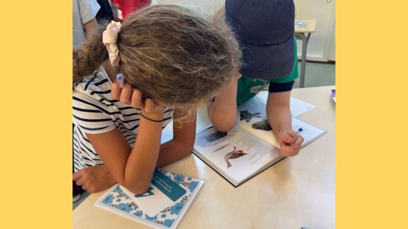 Introduceer rijke boeken met een spel